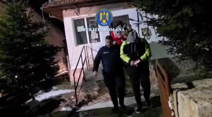 VIDEO: Șapte bărbați, în arest după încăierare la Padeș