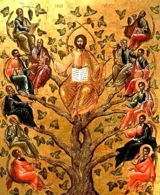 Viaţa Spirituală – Calea, Lumina, Adevărul şi Viaţa – Nașterea Domnului ne pregătește pentru a primi bucuria acestei sărbători, a sălășluirii Mântuitorului, nu doar în peștera din Betleem, ci, mai ales, în casa sufletelor noastre!