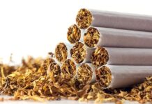 „Inculpatul pentru tutun” – Ungureanu I. Matei, 1913 – 1988