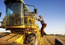 MADR plătește peste 263 milioane lei pentru rambursarea motorinei utilizate în agricultură