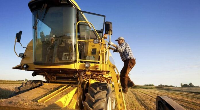 MADR plătește peste 263 milioane lei pentru rambursarea motorinei utilizate în agricultură