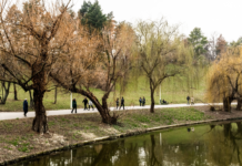 Vremea se încălzește treptat