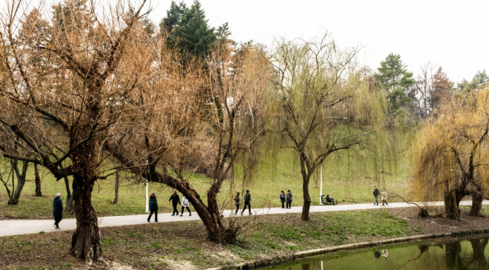 Vremea se încălzește treptat