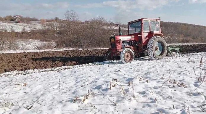 Agricultura pe înțelesul tuturor – Calendarul lucrărilor agricole în luna ianuarie