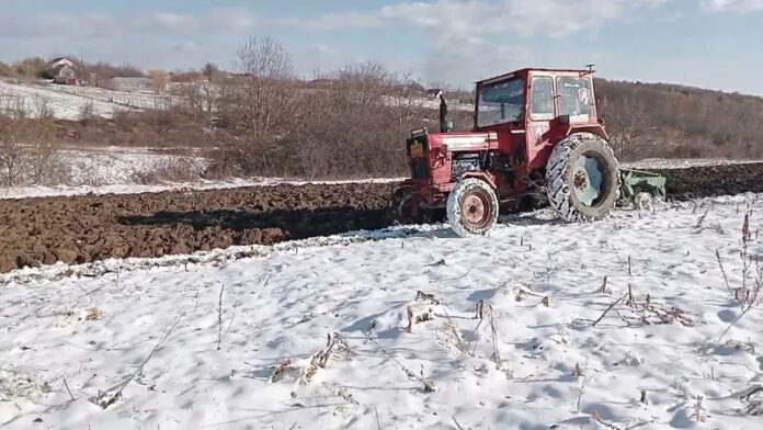 Agricultura pe înțelesul tuturor – Calendarul lucrărilor agricole în luna ianuarie
