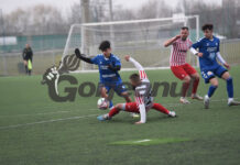 Găman are încredere în juniorii clubului: ,,Sunt jucători de mare perspectivă”