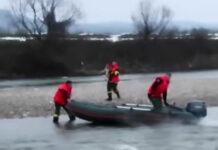 VIDEO: Un câine rămas izolat în mijlocul râului, salvat de pompieri