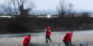VIDEO: Un câine rămas izolat în mijlocul râului, salvat de pompieri