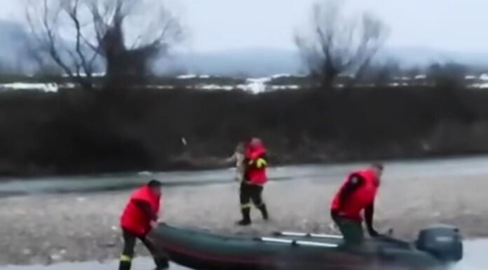 VIDEO: Un câine rămas izolat în mijlocul râului, salvat de pompieri