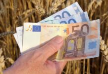 Peste 527 milioane euro, autorizate la plată pentru fermierii români