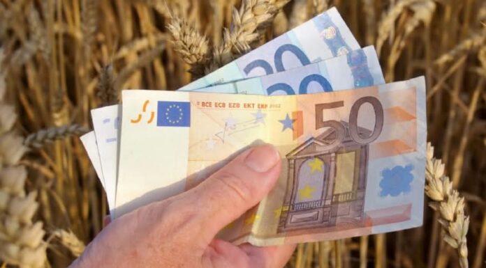 Peste 527 milioane euro, autorizate la plată pentru fermierii români