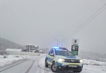 Primele amenzi date de polițiști, în acest an! Valoarea totală se apropie de 250.000 de lei