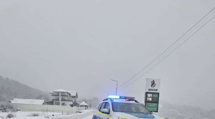 Primele amenzi date de polițiști, în acest an! Valoarea totală se apropie de 250.000 de lei