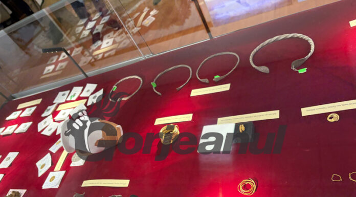 Bijuterii antice expuse în premieră la Muzeul Județean!