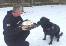 ,,Acțiune” specială a polițiștilor pentru câinele de urmă Max