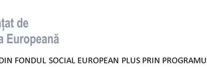 E-Skill – Abilități digitale pentru piața muncii – COD SMIS 334321