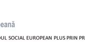 E-Skill – Abilități digitale pentru piața muncii – COD SMIS 334321