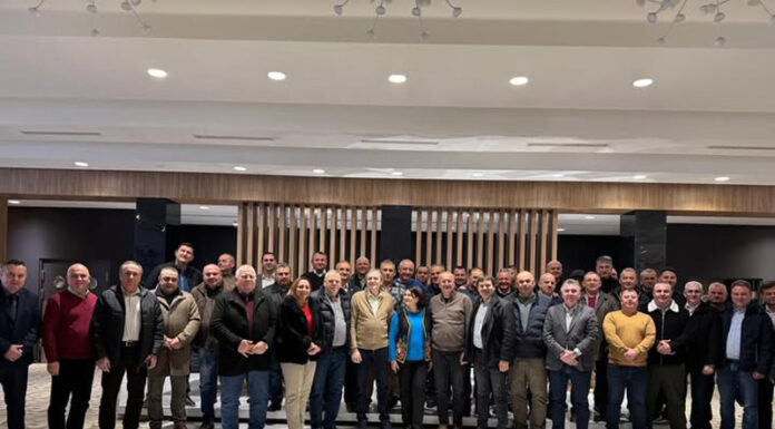 Primarii PSD, în ședință