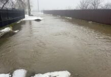 Gospodării inundate la Târgu Jiu