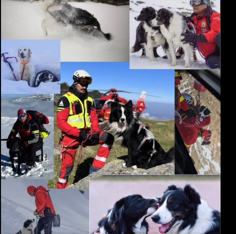 Câinii Salvamont, în peste 100 de misiuni!