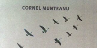 Stropi cu haz…fără necaz