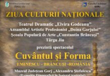 Ziua Culturii Naționale, la Teatrul Dramatic „Elvira Godeanu”