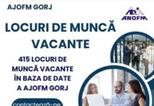 415 locuri de muncă, disponibile în Gorj