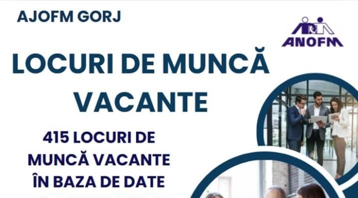 415 locuri de muncă, disponibile în Gorj