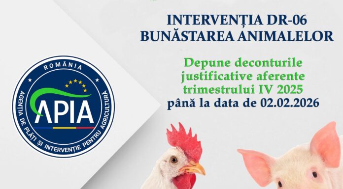 APIA: Deconturi pentru bunăstarea animalelor