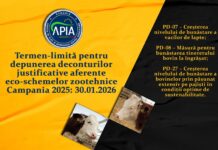 APIA: Termen-limită pentru depunerea deconturilor justificative