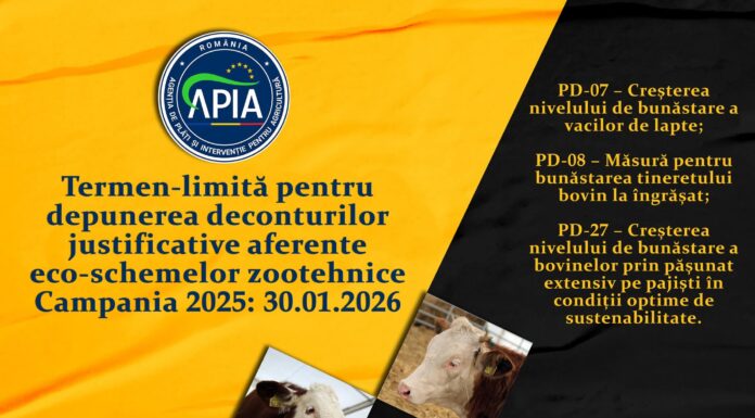 APIA: Termen-limită pentru depunerea deconturilor justificative