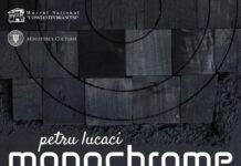 Expoziția „Monochrome” deschide Anul Brâncuși la Târgu Jiu