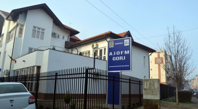Două noi cursuri de formare profesională, demarate de AJOFM Gorj