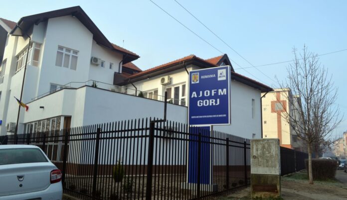 Două noi cursuri de formare profesională, demarate de AJOFM Gorj