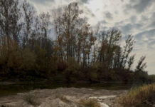 O balastieră din Țânțăreni a fost amendată cu 75.000 lei