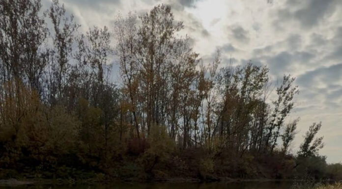 O balastieră din Țânțăreni a fost amendată cu 75.000 lei