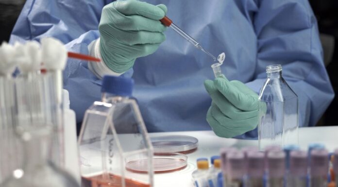 Analize medicale gratuite la Baia de Fier