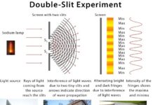 Brâncuși într-adevăr a sculptat cu lumina