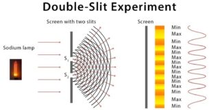 Brâncuși într-adevăr a sculptat cu lumina
