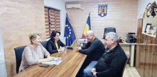 Consiliul Județean Gorj va investi într-un padoc