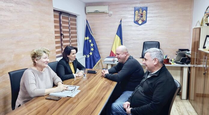 Consiliul Județean Gorj va investi într-un padoc