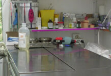 Haos iminent în Gorj. 68 de medici veterinari, afectați de „Ordonanța Trenuleț”