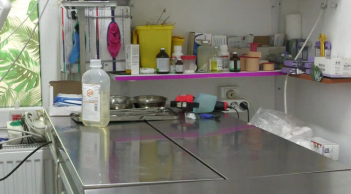 Haos iminent în Gorj. 68 de medici veterinari, afectați de „Ordonanța Trenuleț”