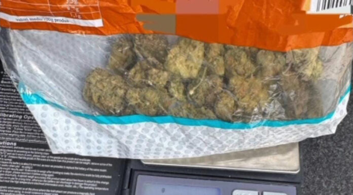 Condamnați rapid într-un dosar de trafic de droguri