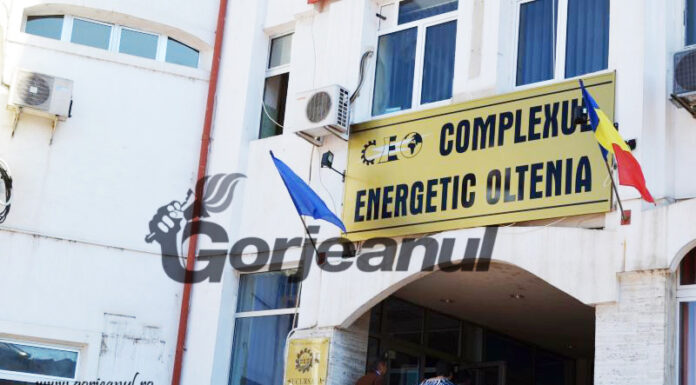 Se ,,coace” filiala de lignit a CEO: 325.000 de lei pe consultanță