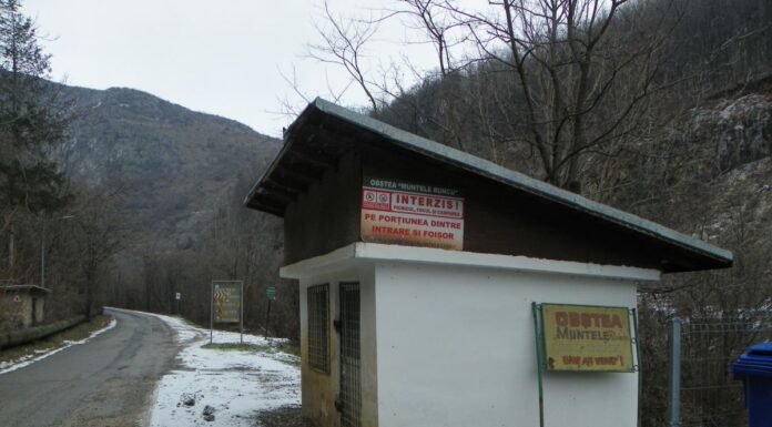 Hivernale – Turismul de iarnă poate deveni o atracție pentru toți