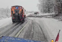 DRDP Craiova: Pericol în zonele împădurite