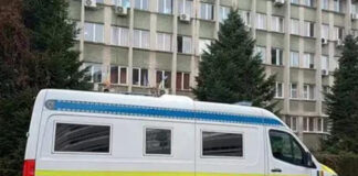 Pădurar al Ocolului Silvic Motru, reținut