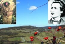 Eminescu şi prezenţa sa meteorică în Floreştii Gorjului – «Cucu-ntreabă: Unde-i sora/ Viselor noastre de vară?/ Mlădioasă şi iubită,/ Cu privirea ostenită,/ Ca o zână să răsară/ Tuturora!»