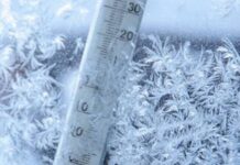 Ger arctic în februarie